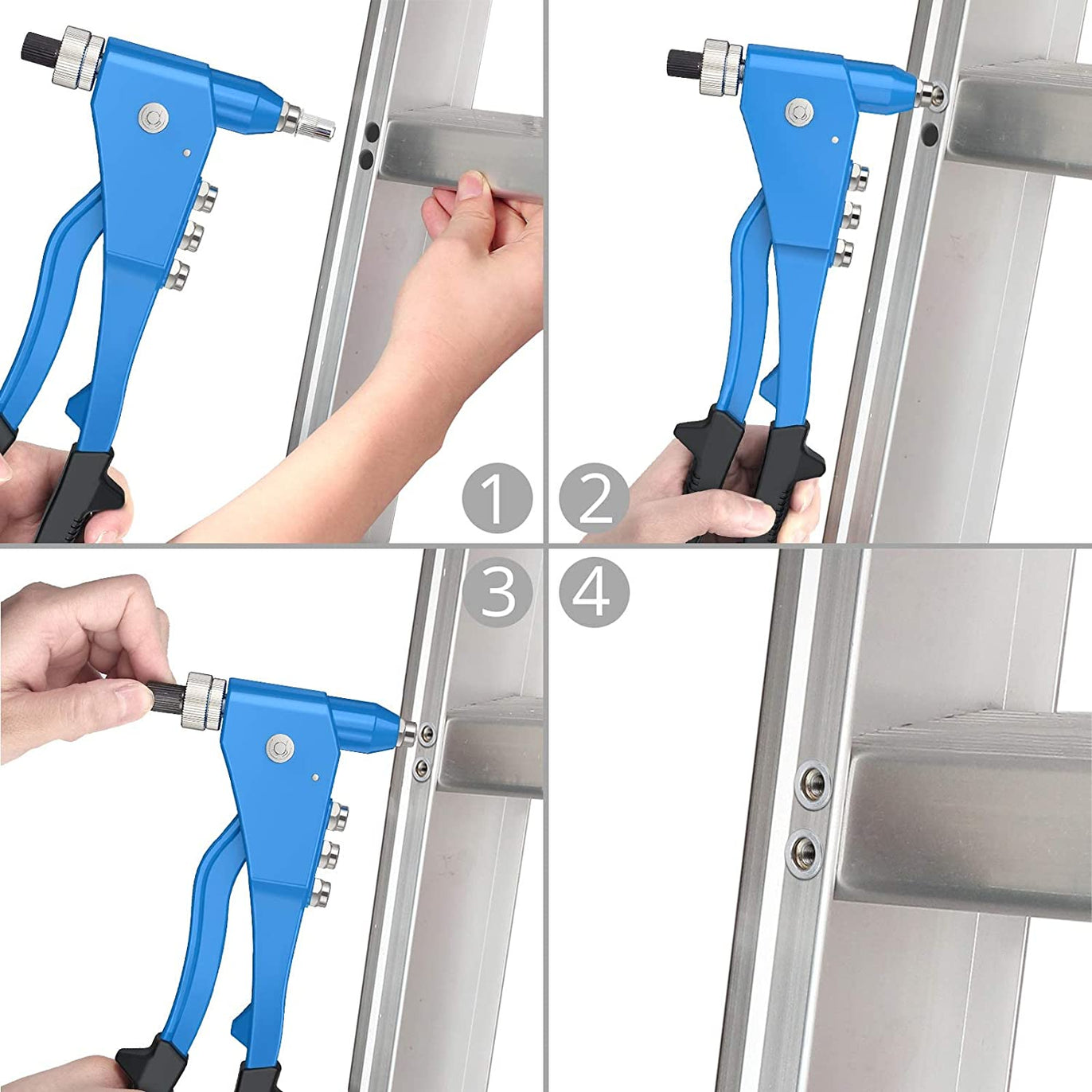 eSynic Professional 10