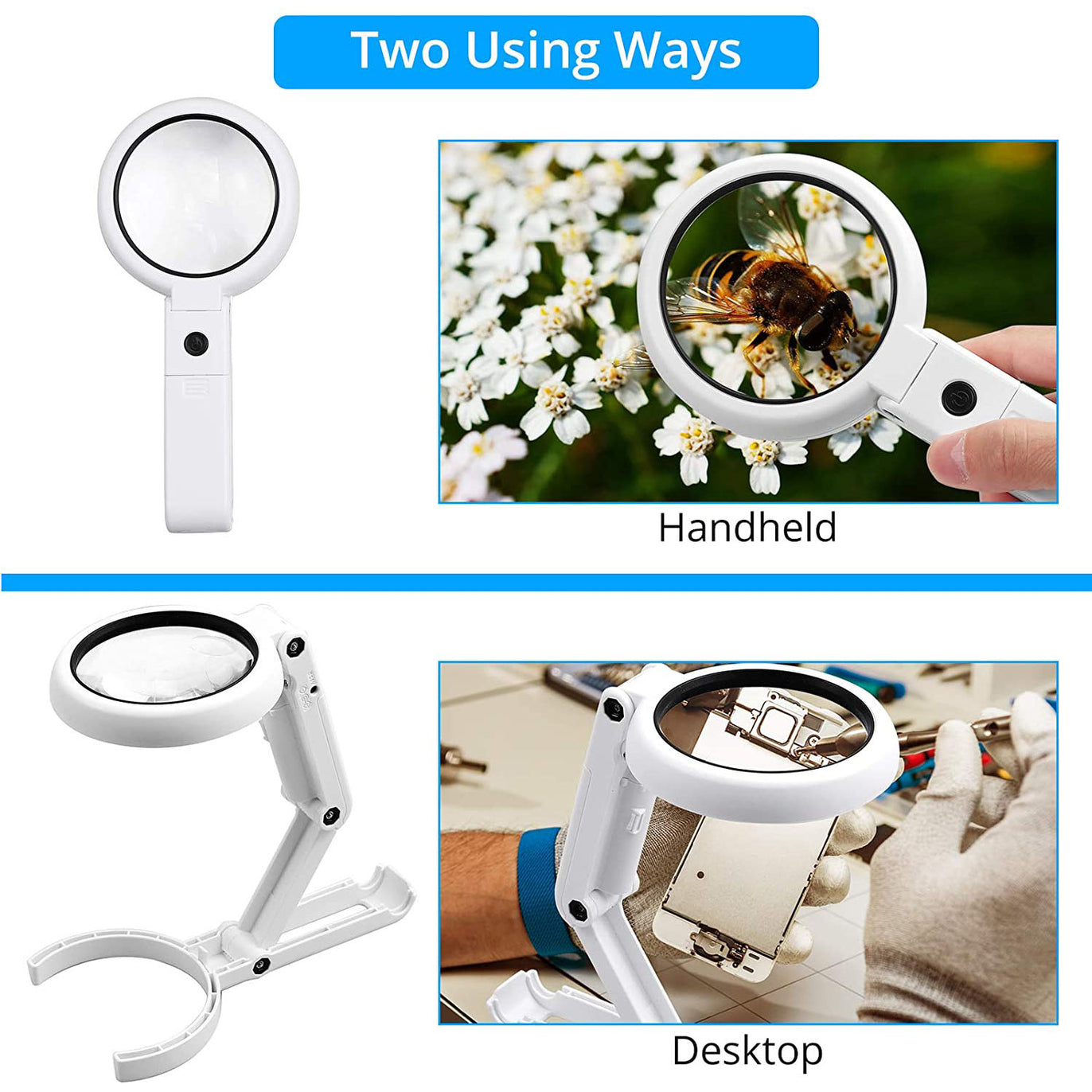 eSynic Professional 2 in 1 Magnifying Glass with Light