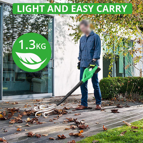 21V Cordless Leaf Blower 2 Speed Electric Cleaning Blower with Battery & Charger