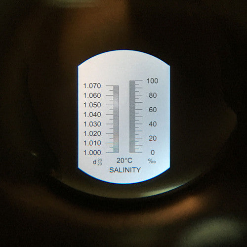 Réfractomètre 0-10% Salinité Salinomètre Mesure de la salinité de l'eau de mer